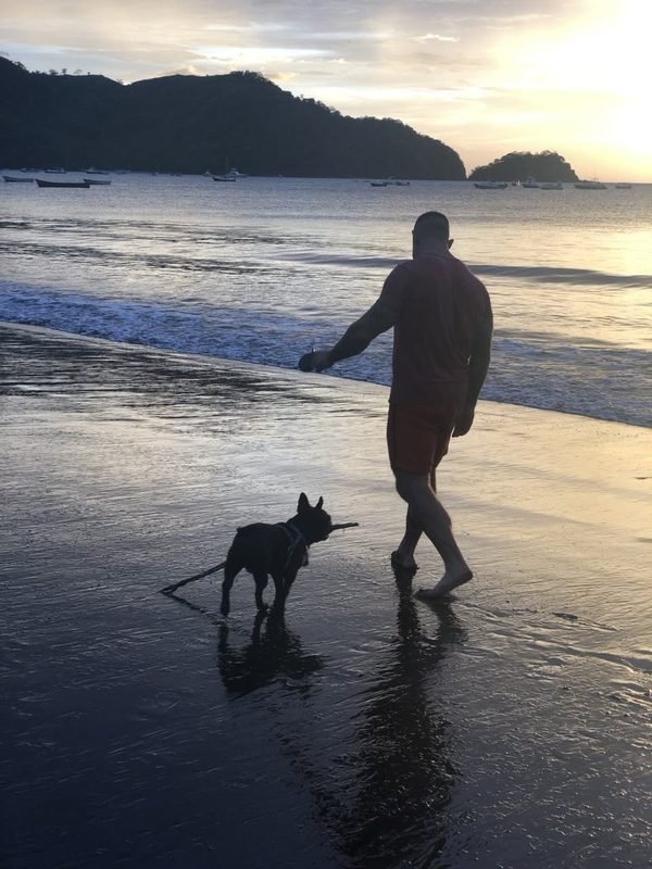 Matt Haynes walking his French bulldog along a beach at sunset, the dog carrying a stick.
